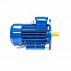 Электродвигатель 5АИ 112 М2 7,6/3000 IM2081