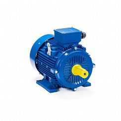 Эл.двигатель ESQ 200 L4-SDN- 30/1500 IM B3