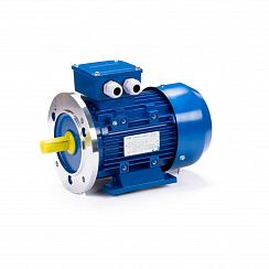 Электродвигатель ESQ 63 D4-SDN- 0,25/1500 IMB35