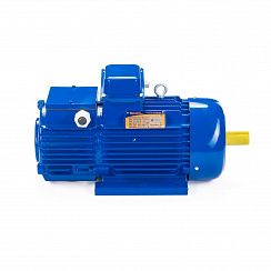 Электродвигатель 5МТН 280 L8 90/750 IM1003