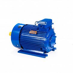 Электродвигатель 5МТКН 225 L6 55/1000 IM1003