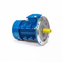 Электродвигатель 5АИ 112 МА6 ET 3/1000 IM3081
