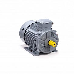 Эл.двигатель ESQ PR 180 S2 GST-Б1-S12-IE2 22/3000 IM 1001
