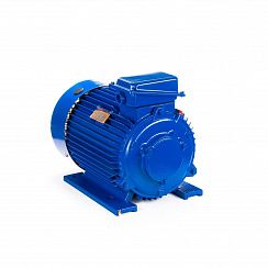 Электродвигатель 5MTКH 200 LB8 22/750 IM1003