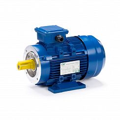 Электродвигатель ESQ 63 D4-SDN- 0,25/1500 IMB34