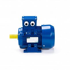 Электродвигатель ESQ 80 D4-SDN- 1,1/1500 IMB3