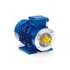 Электродвигатель ESQ 71 A4-SDN- 0,25/1500 IMB34