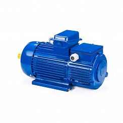 Электродвигатель 5МТН 225 L8 37/750 IM1004