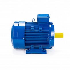 Электродвигатель ESQ 100 LB8-SDN- 1,1/750 IMB34