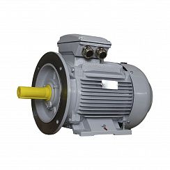 Эл.двигатель ESQ PR 160 L2-SDN-Б1-S12-IE2 18.5/3000 IM B35