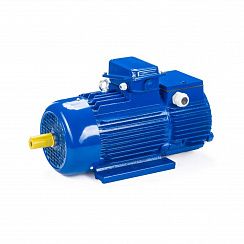 Электродвигатель 5МТН 225 L6 55/1000 IM1003