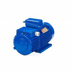 Электродвигатель 5МТН 225 L8 37/750 IM1003