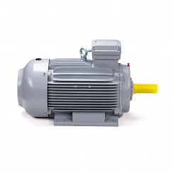 Эл.двигатель ESQ PR 100 LA2-SDN-Б1-S12-IE2 3/3000 IM B3