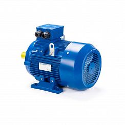 Электродвигатель ESQ 160 L4-SDN- 15/1500 IMB3