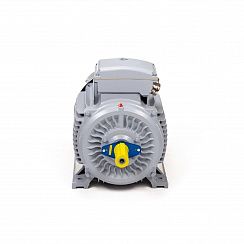 Эл.двигатель ESQ PR 280 M6-SDN-Б1-S12-IE3 55/1000 IM B3
