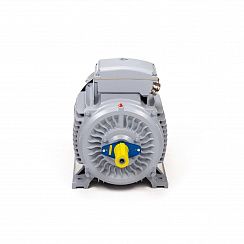 Эл.двигатель ESQ PR 315 S2-SDN-Б1-S12-IE2 110/3000 IM B3