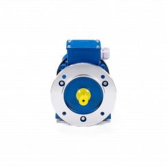 Электродвигатель ESQ 63 D4-SDN- 0,25/1500 IMB35