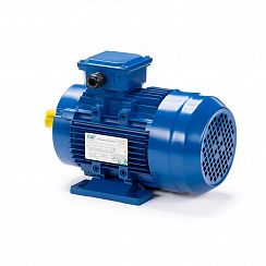 Электродвигатель ESQ 63 D4-SDN- 0,25/1500 IMB34
