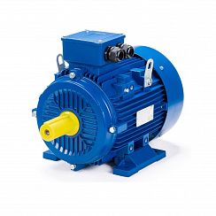 Эл.двигатель ESQ 100 S4-GST-HT-H 3/1500  IM 1081