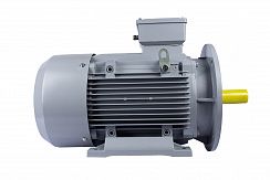 Эл.двигатель ESQ PR 180 L4-SDN-Б1-S12-IE2 22/1500 IM B35