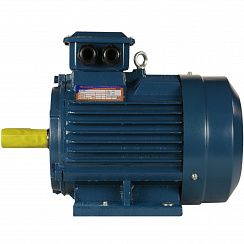 Электродвигатель 5АИ 100 L6 ED 2,2/1000 IM1081