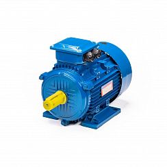 Электродвигатель 5АИ 100 S4 3/1500 IM1081
