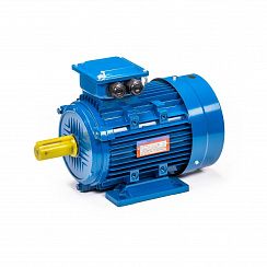 Электродвигатель 5АИ 100 S4 3/1500 IM1081
