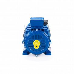 Эл.двигатель ESQ 200 L4-SDN- 30/1500 IM B3