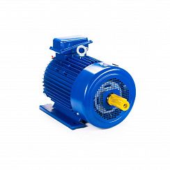 Электродвигатель 5MTКH 200 LB8 22/750 IM1003