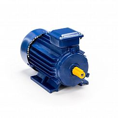 Электродвигатель 5АИ 71 А2 0,75/3000 IM1081