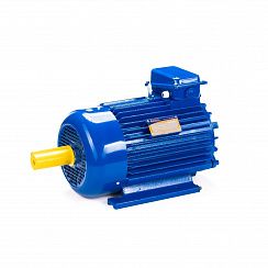 Электродвигатель 5MTKH 132 LB6