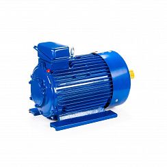 Электродвигатель 5МТКН 312-8 11/750 IM1001