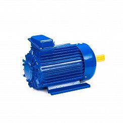 Электродвигатель 5MTKH 132 LB6