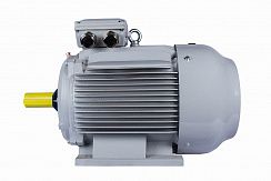 Эл.двигатель ESQ PR 280 S6-SDN-Б1-S12-IE2 45/1000 IM B3
