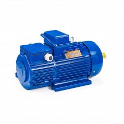 Электродвигатель 5МТН 280 L10 75/600 IM1004