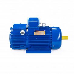 Электродвигатель 5МТН 011-6 1,4/1000 IM1001