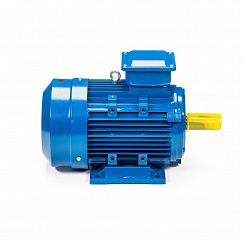Электродвигатель 5АИ 132 М4 11/1500 IM1081
