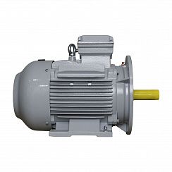Эл.двигатель ESQ PR 160 MB2-SDN-Б1-S12-IE3 15/3000  IM B35