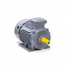 Электродвигатель ESQ PR 100 L2 GST-Б1-S12-IE2 5,5/3000 IM1081