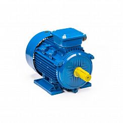 Электродвигатель 5АИ 132 М4 11/1500 IM1081