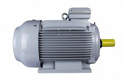 Эл.двигатель ESQ PR 315 LA6-SDN-Б1-S12-IE2 110/1000 IM B3