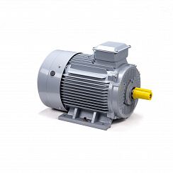 Эл.двигатель ESQ PR 180 S2 GST-Б1-S12-IE2 22/3000 IM 1001