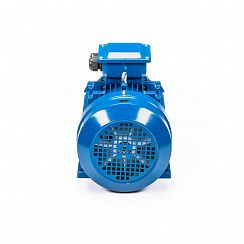 Электродвигатель 5АИ 132 М6 7,6/1000 IM1081