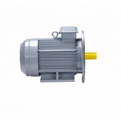 Эл.двигатель ESQ PR 180 S2 GST-Б1-S12-IE2 22/3000 IM 2001