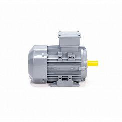 Эл.двигатель ESQ PR 90 L6-SDN-Б1-S12-IE3 1.1/1000 IM B3