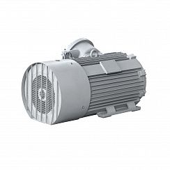 Электродвигатель 2АИМУР 315 L4 У2,5 660/1140В, класс изоляции Н, PBExdI Mb, РТC (статор) подшипники SKF, 315/1500 IM1001