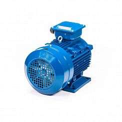 Электродвигатель 5АИ 160 S4 15/1500 IM1001