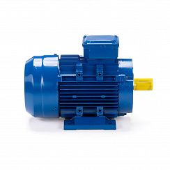Электродвигатель ESQ 63 A4-SDN- 0,12/1500 IMB34