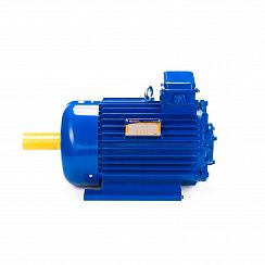 Электродвигатель 5МТКН 111-6 3,5/1000 IM1001