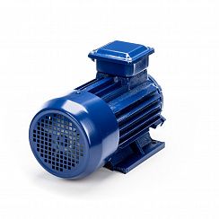 Электродвигатель 5АИ 63 В2 0,55/3000 IM1081